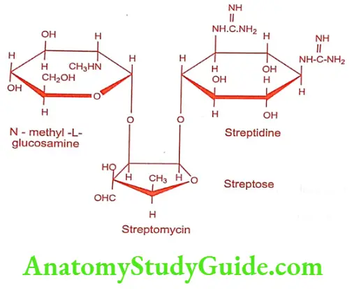 Medical Chemistry Antibiotics Streptomycin