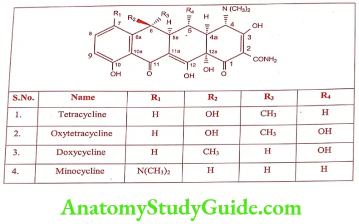 Medical Chemistry Antibiotics Structure of Tetracyclines