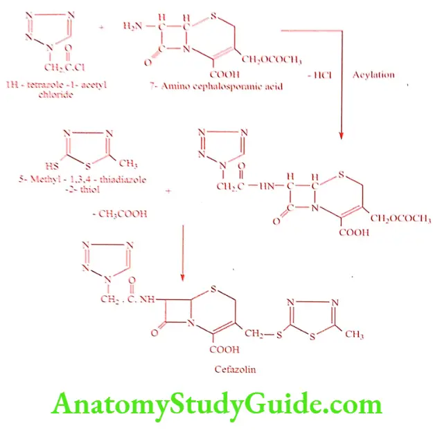 Medical Chemistry Antibiotics Synthesis of Cefazolin