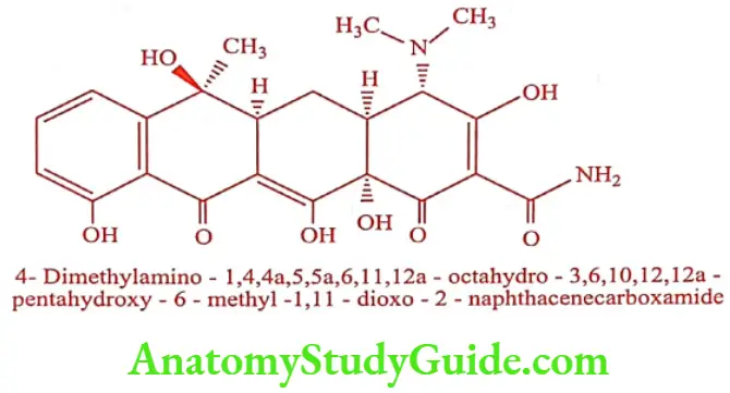 Medical Chemistry Antibiotics Tetracycline