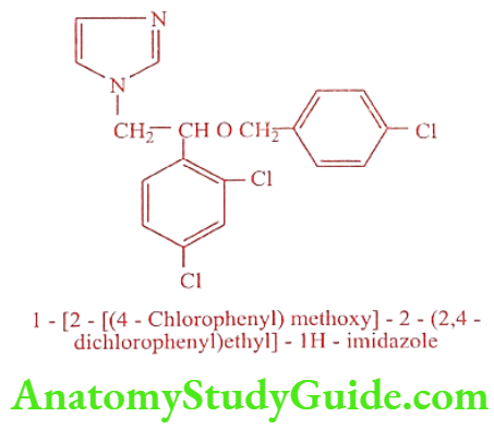 Medical Chemistry Antifungal Agents Econazole