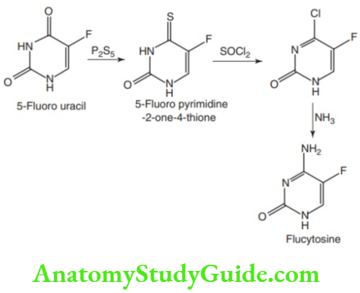 Medical Chemistry Antifungal Agents Flucytosine synthesis