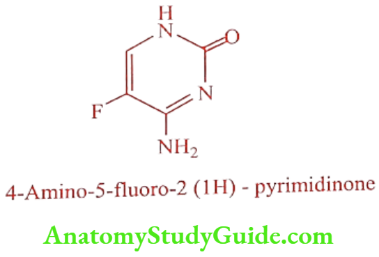 Medical Chemistry Antifungal Agents Flucytosine