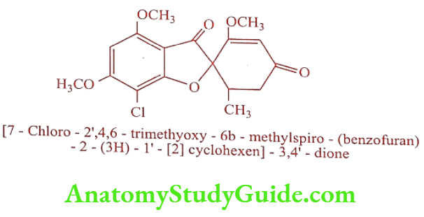 Medical Chemistry Antifungal Agents Griseofulvin