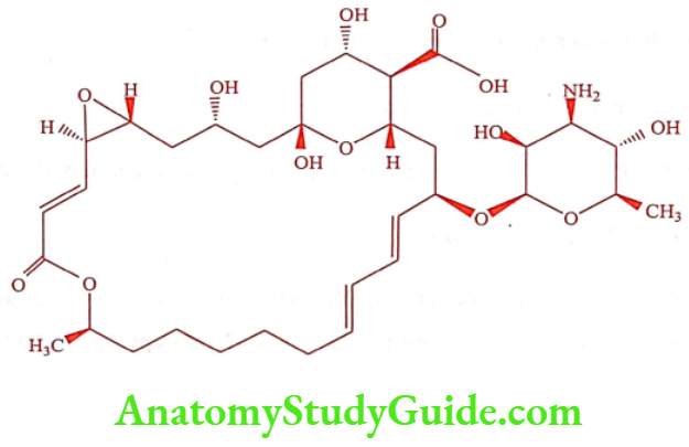 Medical Chemistry Antifungal Agents Natamycin