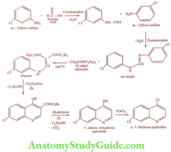 Medical Chemistry Antimalarial Agents Chloroquine Synthesis Method 1