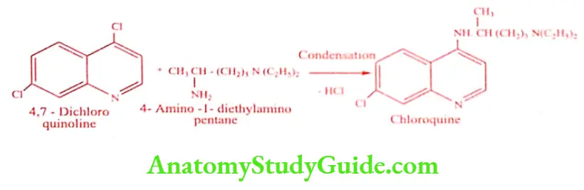 Medical Chemistry Antimalarial Agents Chloroquine Synthesis Method 3