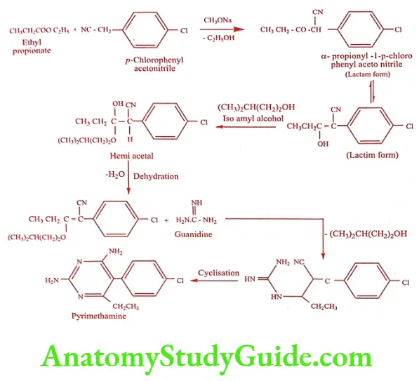 Medical Chemistry Antimalarial Agents Pyrimethamine Synthesis