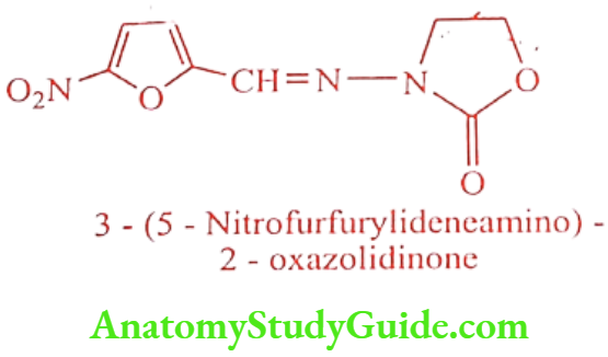 Medical Chemistry Antiprotozoal Agents Furazolidone