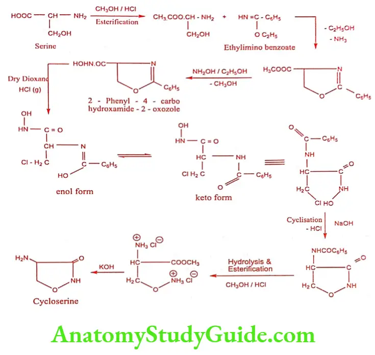 Medical Chemistry Antitubercular Agents Cycloserine synthesis