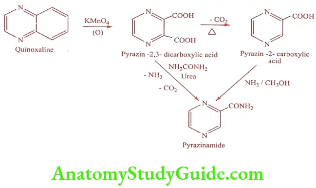 Medical Chemistry Antitubercular Agents Pyrazinamide Synthesis
