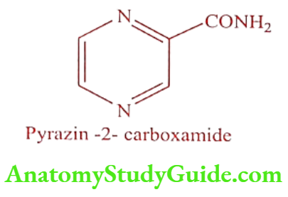 Medical Chemistry Antitubercular Agents Pyrazinamide
