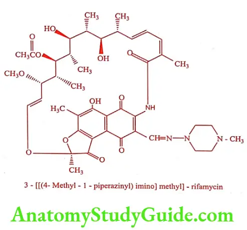 Medical Chemistry Antitubercular Agents Rifampicin