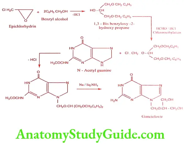 Medical Chemistry Antiviral And Antiaids Agents Ganciclovir synthesis