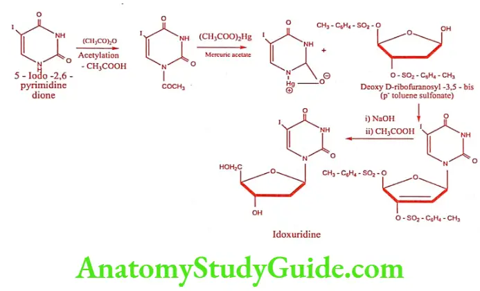 Medical Chemistry Antiviral And Antiaids Agents Idoxuridine synthesis