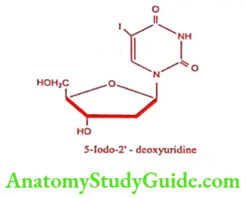 Medical Chemistry Antiviral And Antiaids Agents Idoxuridine