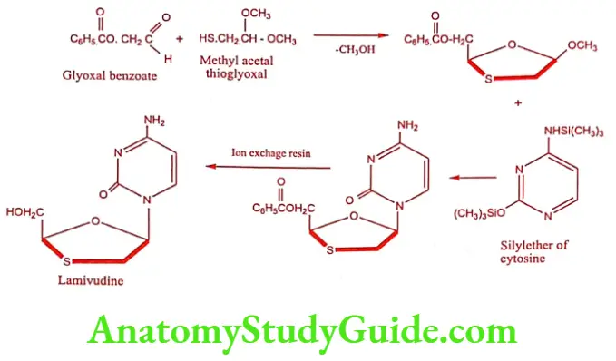 Medical Chemistry Antiviral And Antiaids Agents Lamivudine synthesis