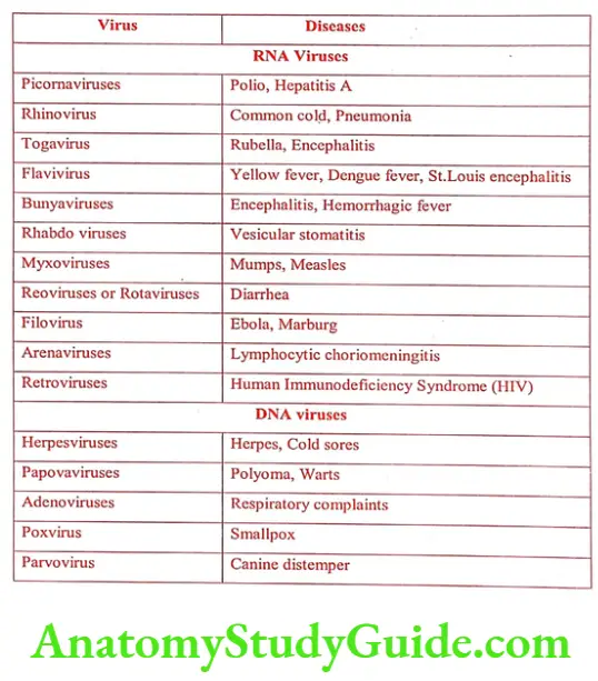 Medical Chemistry Antiviral And Antiaids Agents List of some virus and diseases