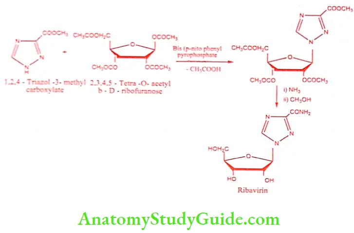 Medical Chemistry Antiviral And Antiaids Agents Ribavirin synthesis