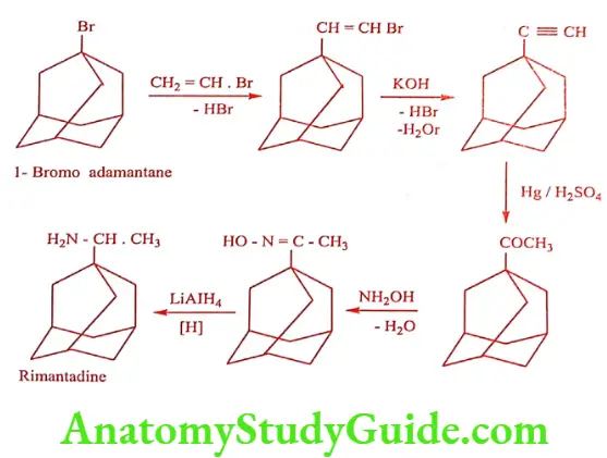 Medical Chemistry Antiviral And Antiaids Agents Rimantadine synthesis