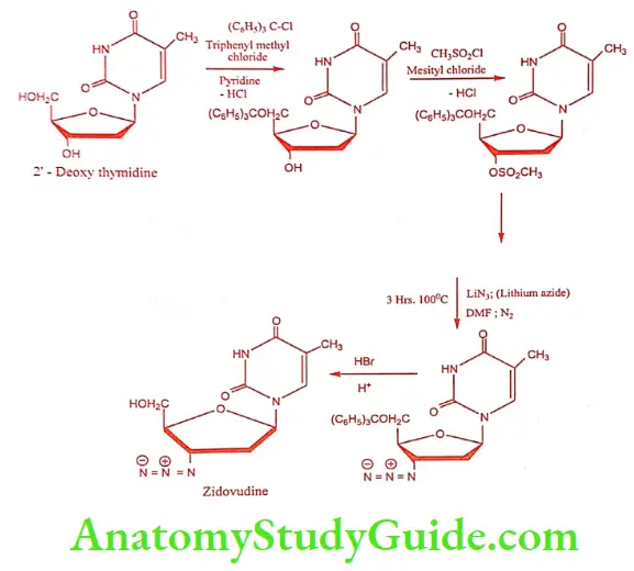 Medical Chemistry Antiviral And Antiaids Agents Zidovudine synthesis