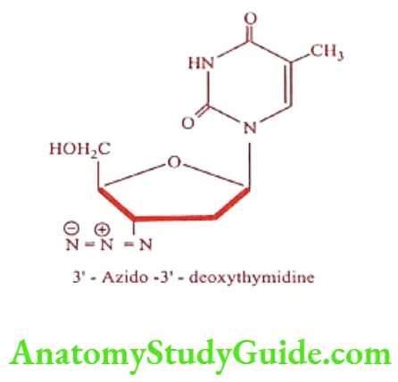 Medical Chemistry Antiviral And Antiaids Agents Zidovudine