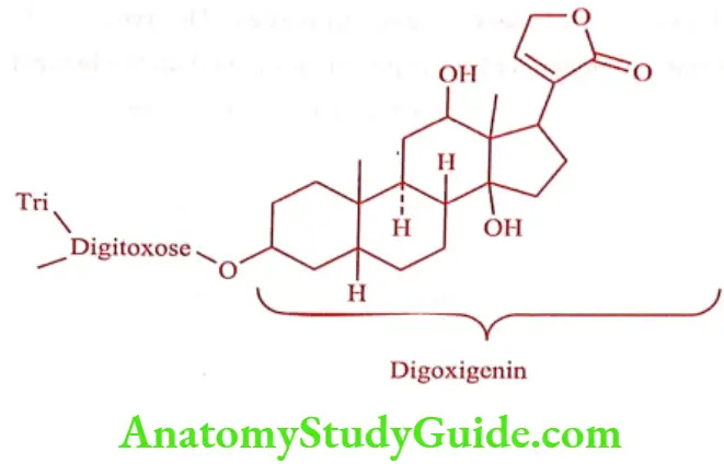 Medical Chemistry Cardiovascular Agents Digoxin