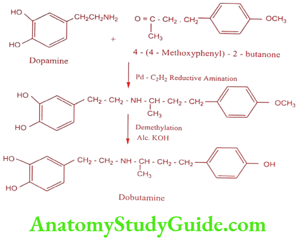 Medical Chemistry Cardiovascular Agents Dobutamine synthesis