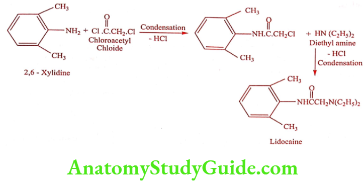 Medical Chemistry Cardiovascular Agents Lidocaine synthesis