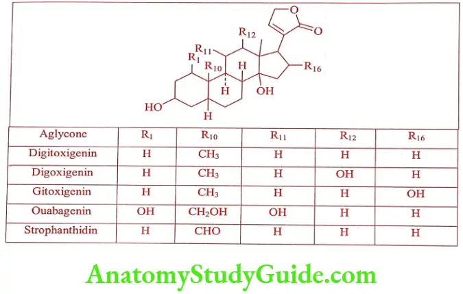 Medical Chemistry Cardiovascular Agents Structure of aglycone