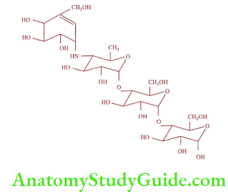 Medical Chemistry Hypoglycemic Agents Acarbose