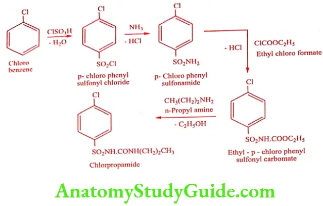 Medical Chemistry Hypoglycemic Agents Chlorpropamide synthesis