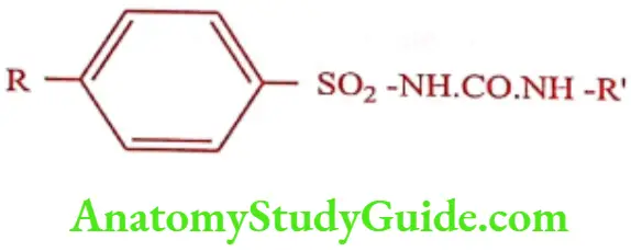 Medical Chemistry Hypoglycemic Agents First Generation