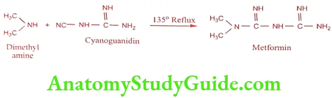 Medical Chemistry Hypoglycemic Agents Metformin synthesis