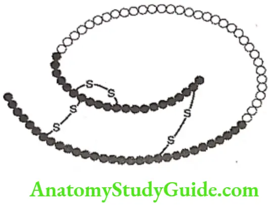 Medical Chemistry Hypoglycemic Agents Proinsulin