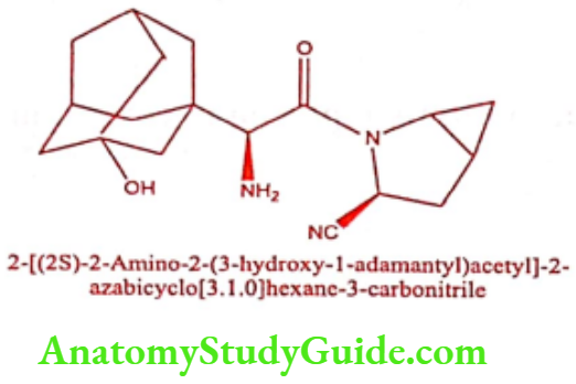 Medical Chemistry Hypoglycemic Agents Saxagliptin