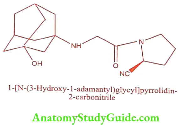 Medical Chemistry Hypoglycemic Agents Vildagliptin