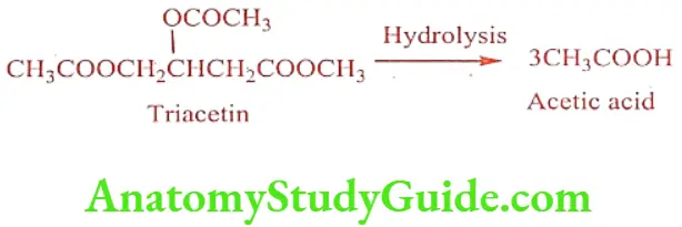 Medical Chemistry Prodrugs Acetic acid