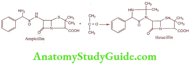 Medical Chemistry Prodrugs Amines