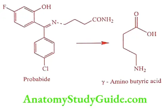 Medical Chemistry Prodrugs Amino butyric acid
