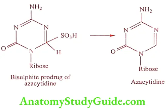Medical Chemistry Prodrugs Azacytidine