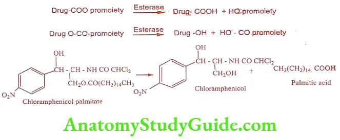 Medical Chemistry Prodrugs Carboxylic acid and Alcohols