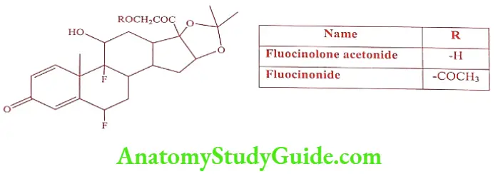 Medical Chemistry Prodrugs Dermal Absorption