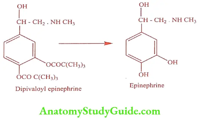 Medical Chemistry Prodrugs Epinephrine