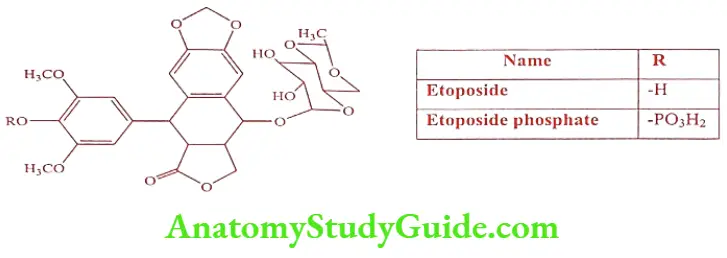 Medical Chemistry Prodrugs Etoposide phosphate