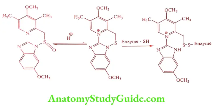 Medical Chemistry Prodrugs Mechanism of action of Omeprazole