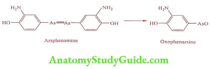 Medical Chemistry Prodrugs Oxophenarsine