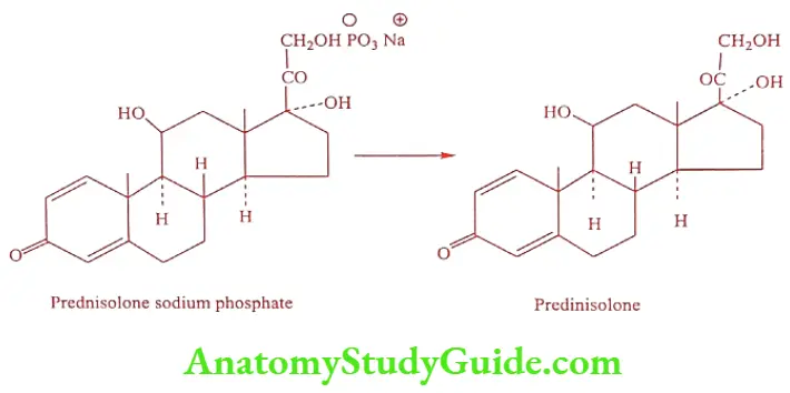 Medical Chemistry Prodrugs Predinisolone