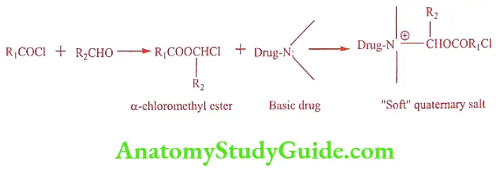 Medical Chemistry Prodrugs Soft quaternary salt