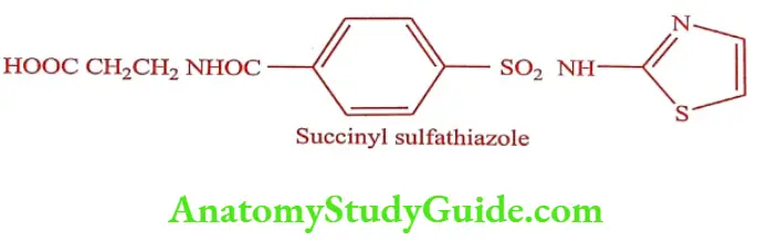 Medical Chemistry Prodrugs Succinyl sulfathiazole